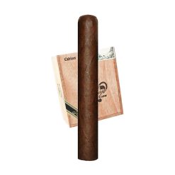 Tatuaje Selección de Cazadore Gran Cojonu (6.5" x 60)