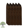 Oaks Reserve Maduro Box-Pressed Torpedo