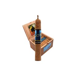 Acid by Drew Estate Blondie (4" x 38)