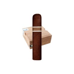 RoMa Craft CroMagnon Aquitaine Mandible (4.5" x 60)